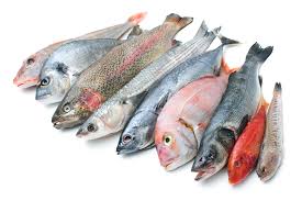 dray fish